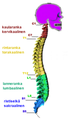 selk�ranka